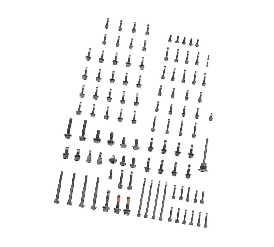 Harley Davidson 12600251 Full Engine Hardware Kit KIT,MISC HWD,TOURING,FULL SET