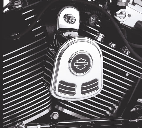 Harley-Davidson 69166-01B Bar & Shield Horn Cover