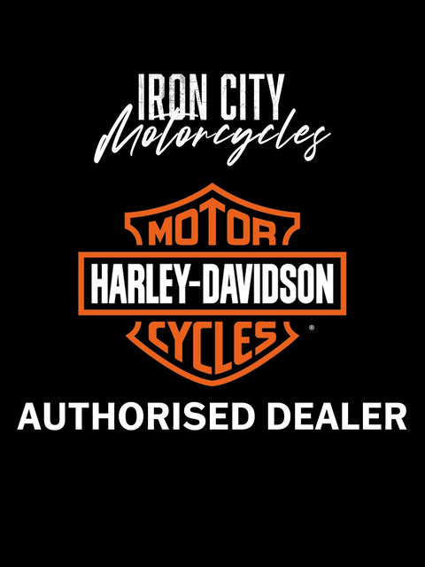 Harley-Davidson 52300437 HoldFast Sissy Bar Upright - Standard Height - Chrome