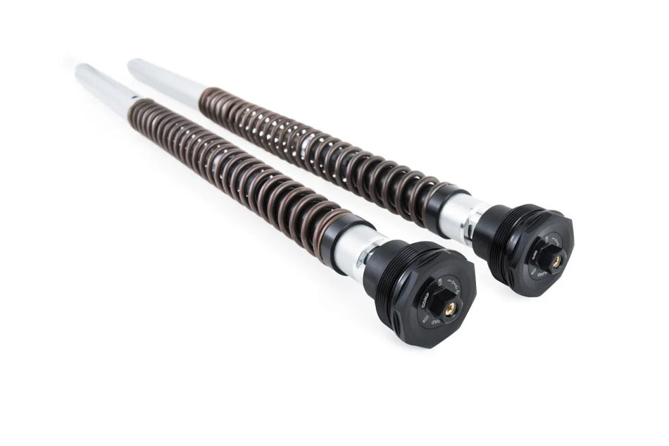 Öhlins Fork Cartridge Kit (FKA 122)