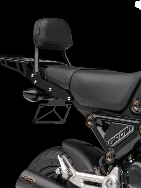 Cobra Formed Sissy Bar Rack Black