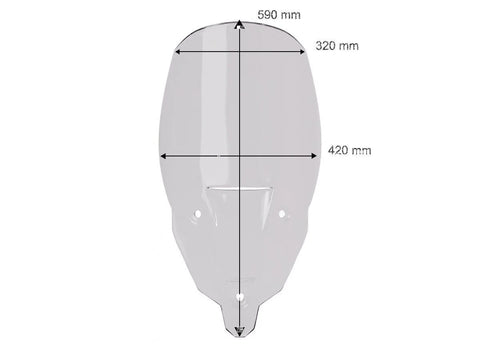 WRS Touring Windscreen Smoked (TR011F)
