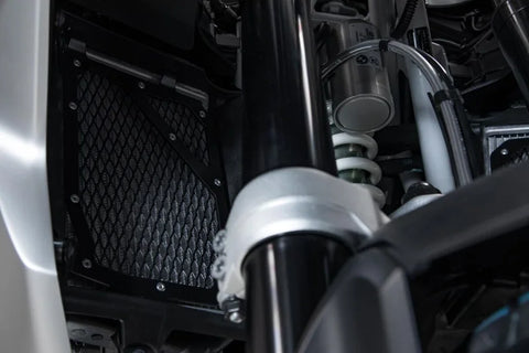SW-Motech Radiator Guard — BMW