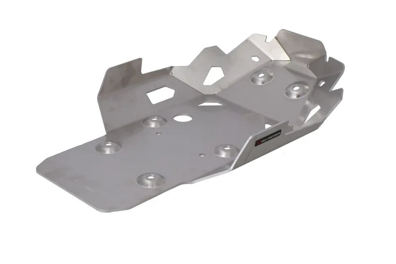SW-Motech Engine Guard Silver R1300GS — BMW